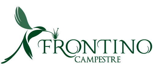 Frontino